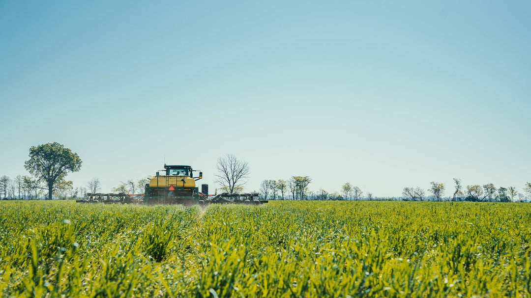 From Field to Bag: Every Step We Take to Keep Integrity Intact