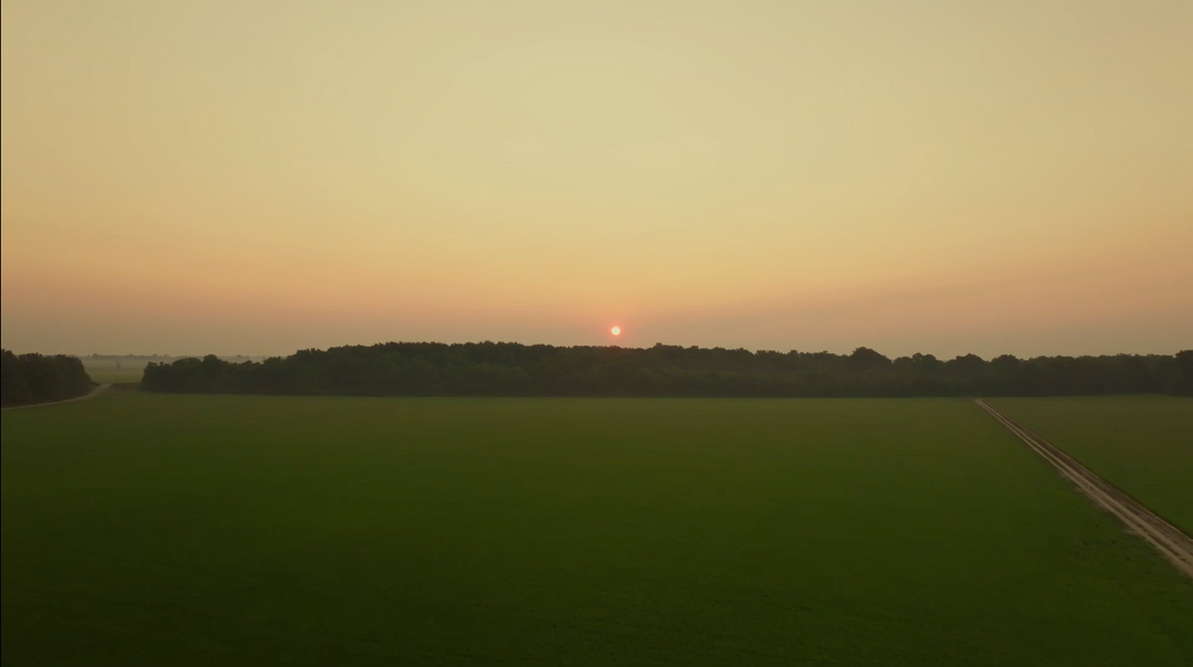 How Regenerative Farming Captures Carbon