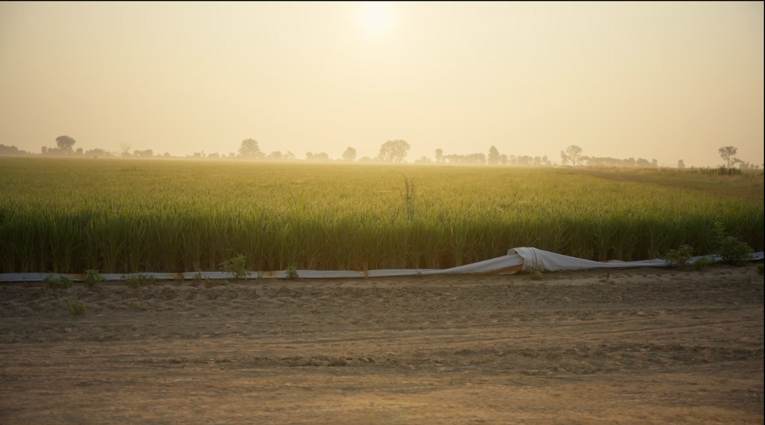Why We Let the Land Set the Pace