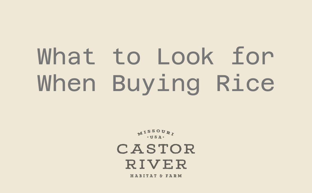 What to Look for When Buying Rice