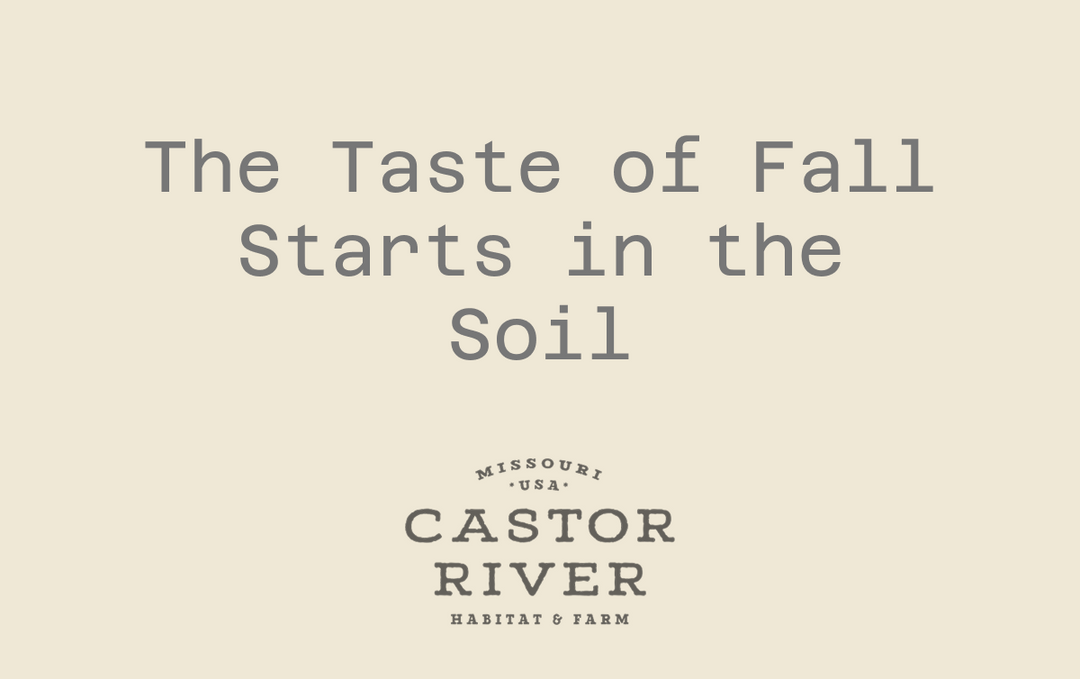 The Taste of Fall Starts in the Soil