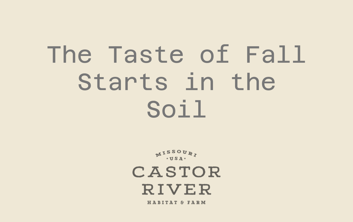 The Taste of Fall Starts in the Soil