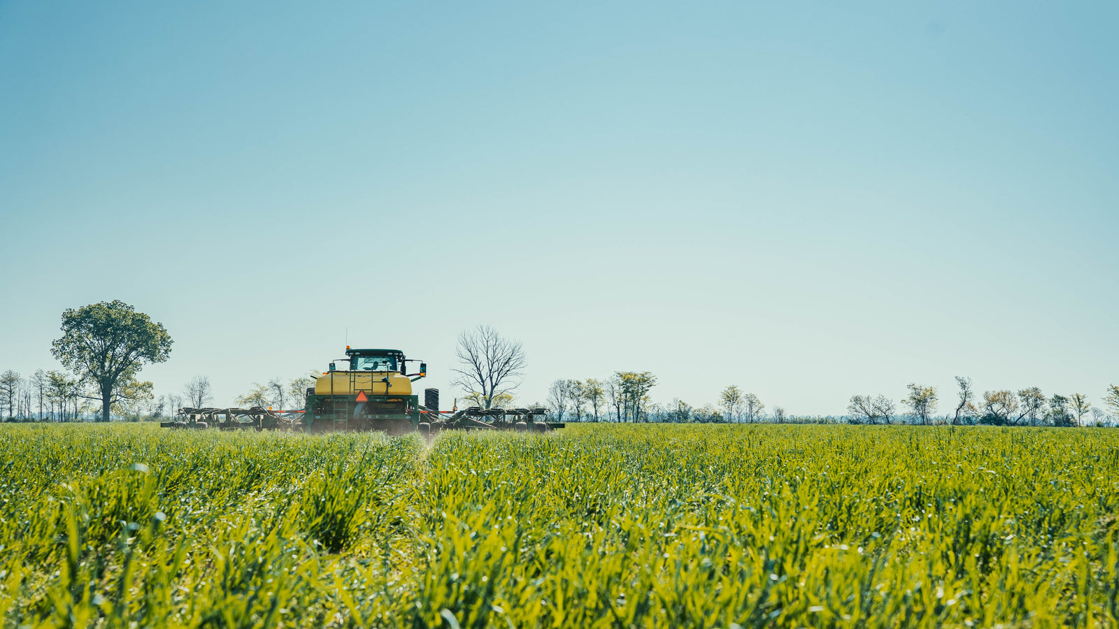 From Field to Bag: Every Step We Take to Keep Integrity Intact