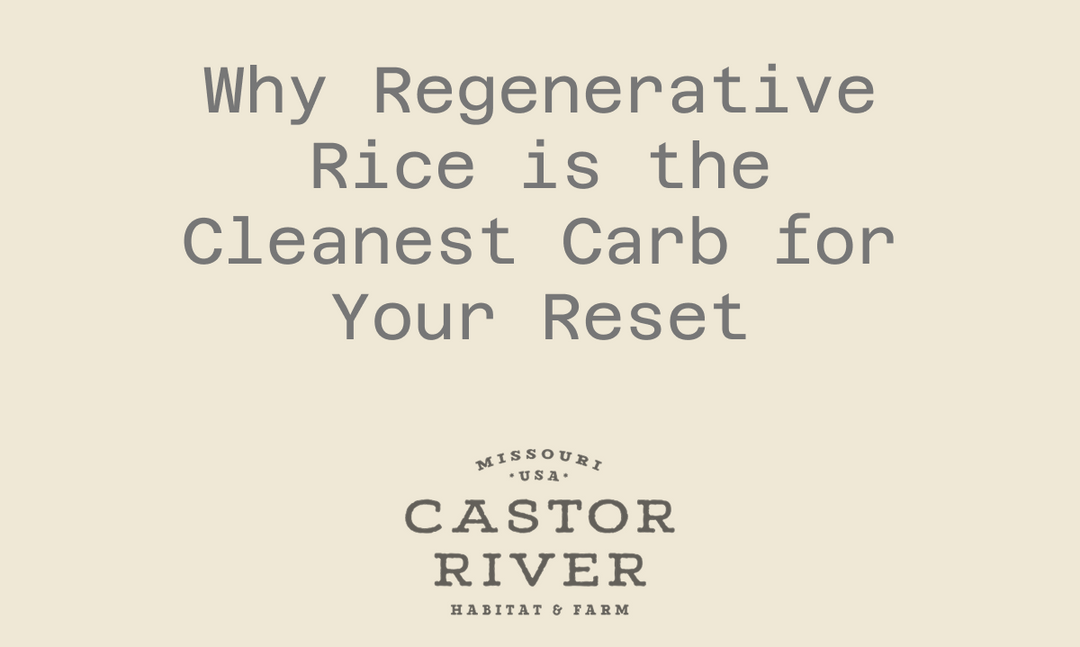 Why Regenerative Rice is the Cleanest Carb for Your Reset