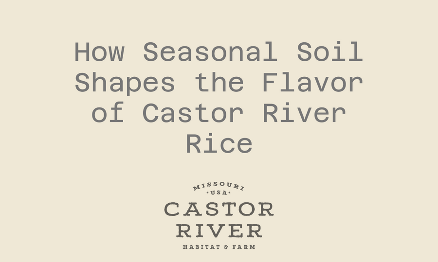 How Seasonal Soil Shapes the Flavor of Castor River Rice – Castor River ...