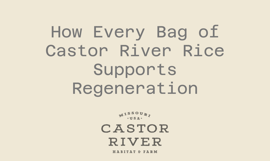 How Every Bag of Castor River Rice Supports Regeneration