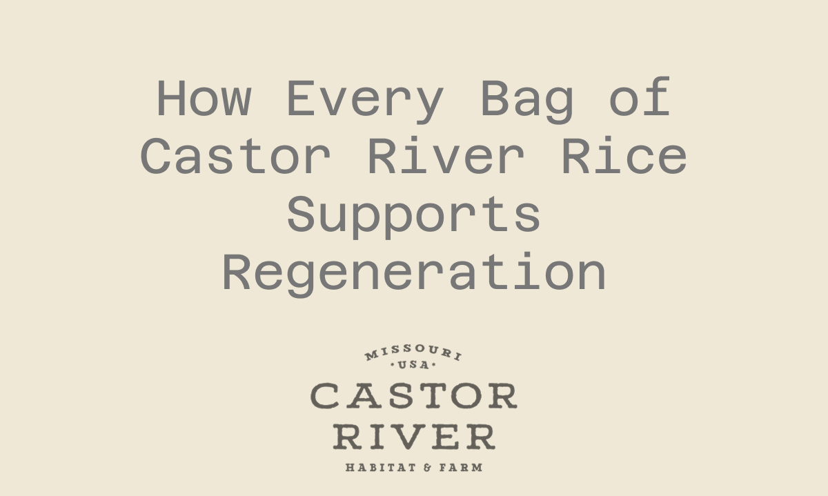 How Every Bag of Castor River Rice Supports Regeneration