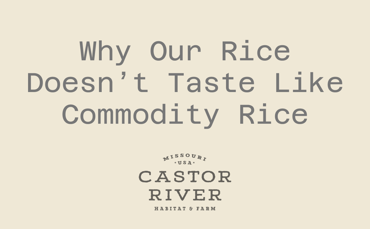 Why Our Rice Doesn’t Taste Like Commodity Rice