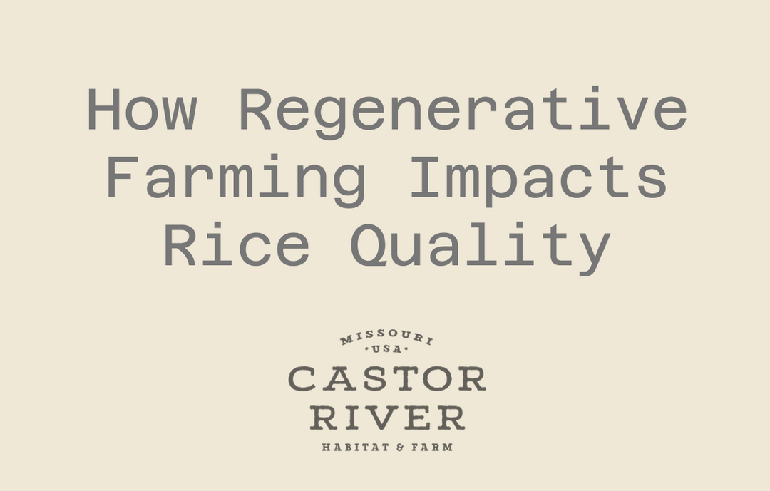 How Regenerative Farming Impacts Rice Quality