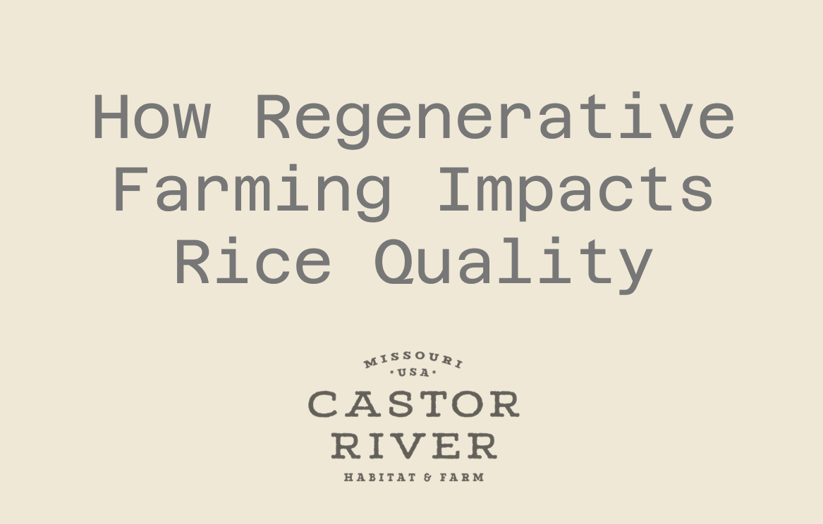 How Regenerative Farming Impacts Rice Quality