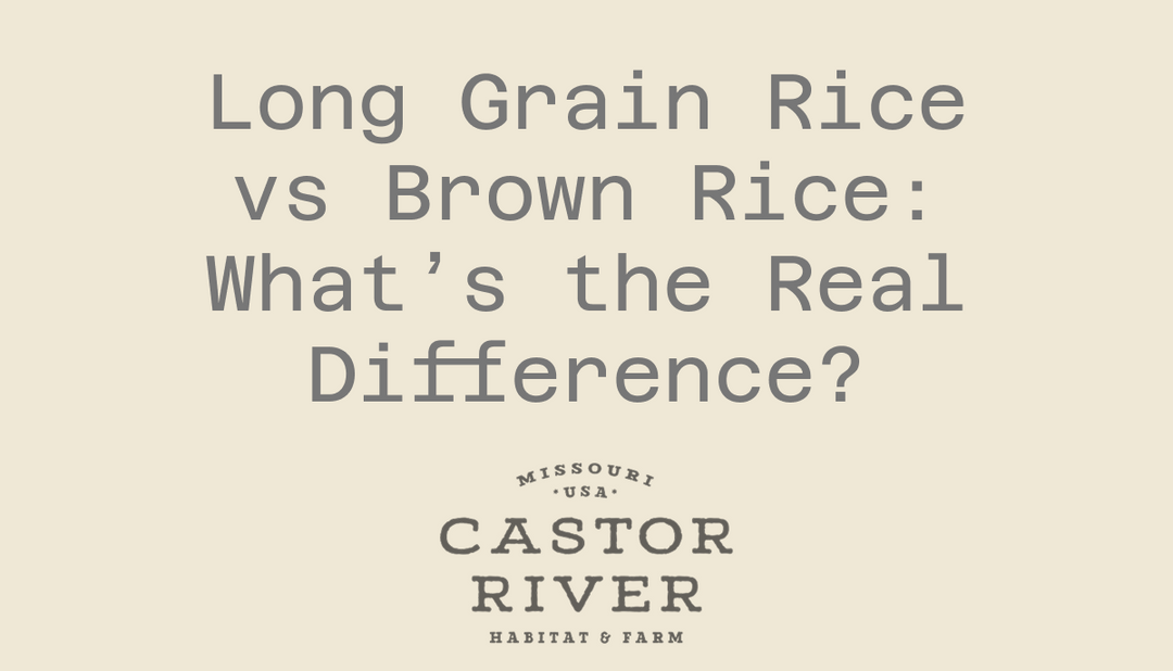 Long Grain Rice vs Brown Rice: What’s the Real Difference?