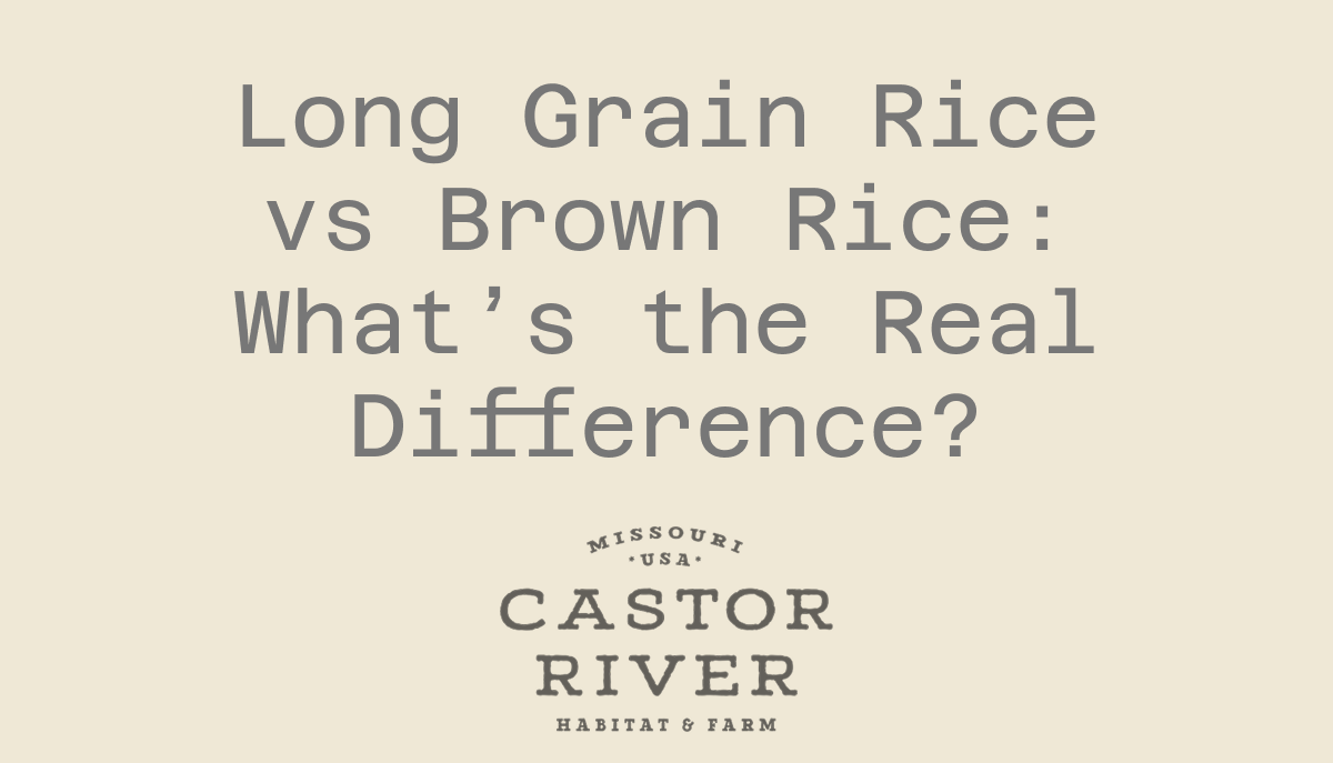 Long Grain Rice vs Brown Rice: What’s the Real Difference?