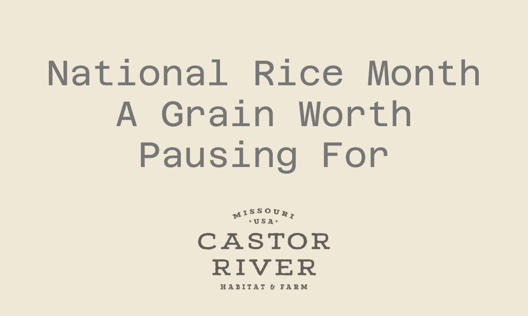 National Rice Month: A Grain Worth Pausing For
