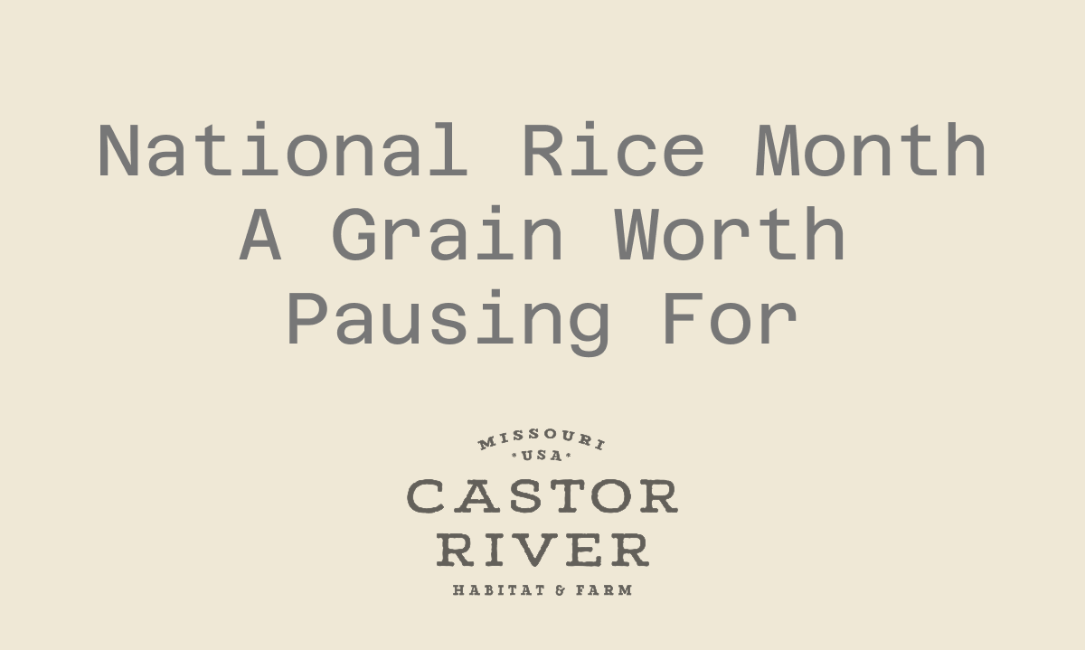National Rice Month: A Grain Worth Pausing For