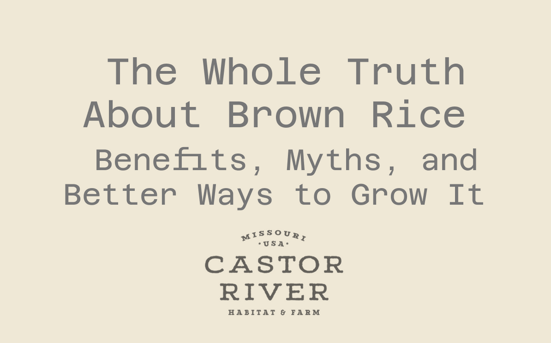 The Whole Truth About Brown Rice: Benefits, Myths, and Better Ways to Grow It