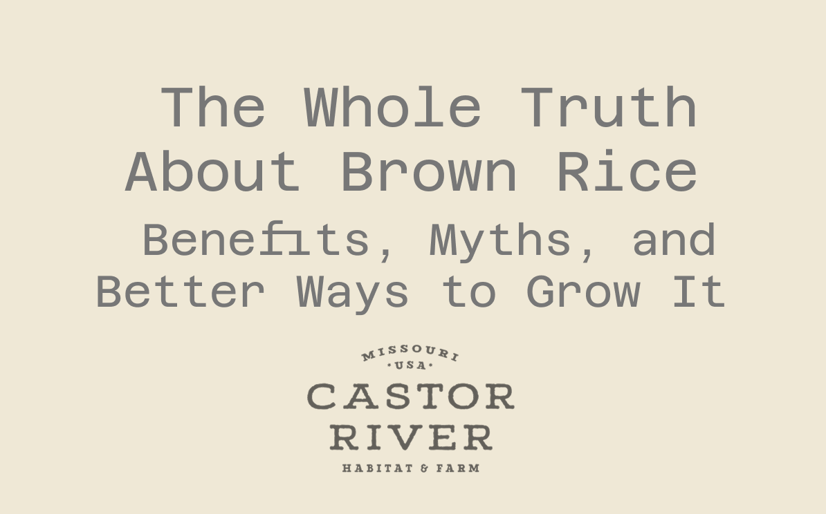 The Whole Truth About Brown Rice: Benefits, Myths, and Better Ways to Grow It