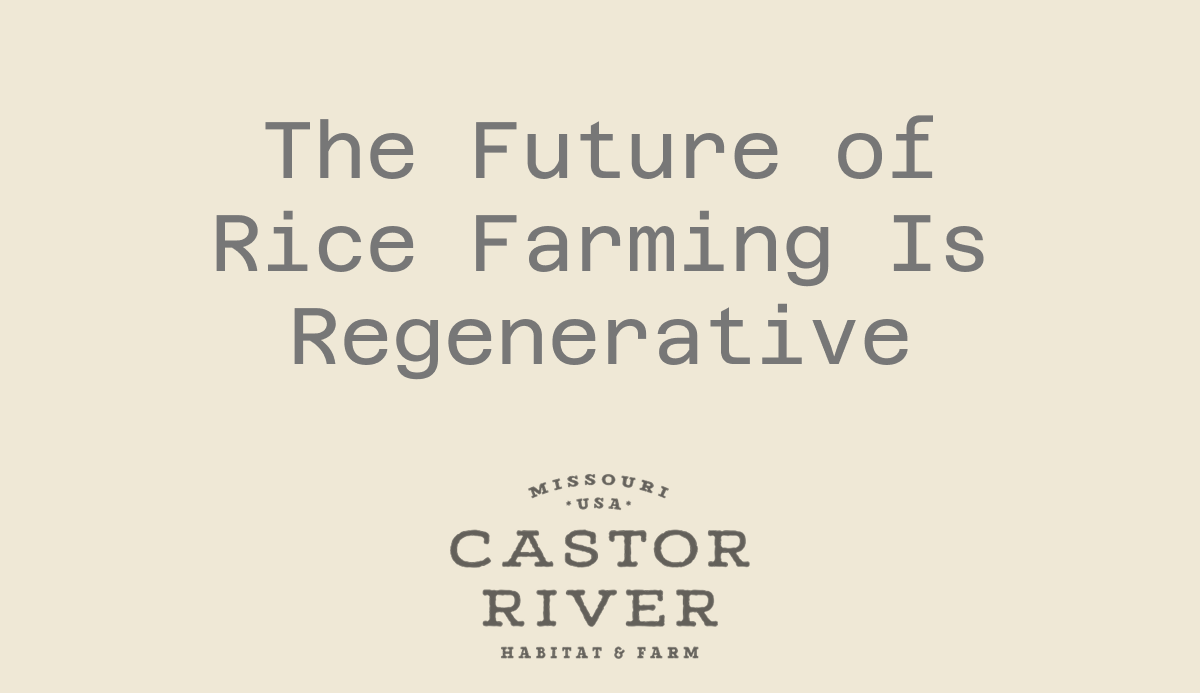 The Future of Rice Farming Is Regenerative