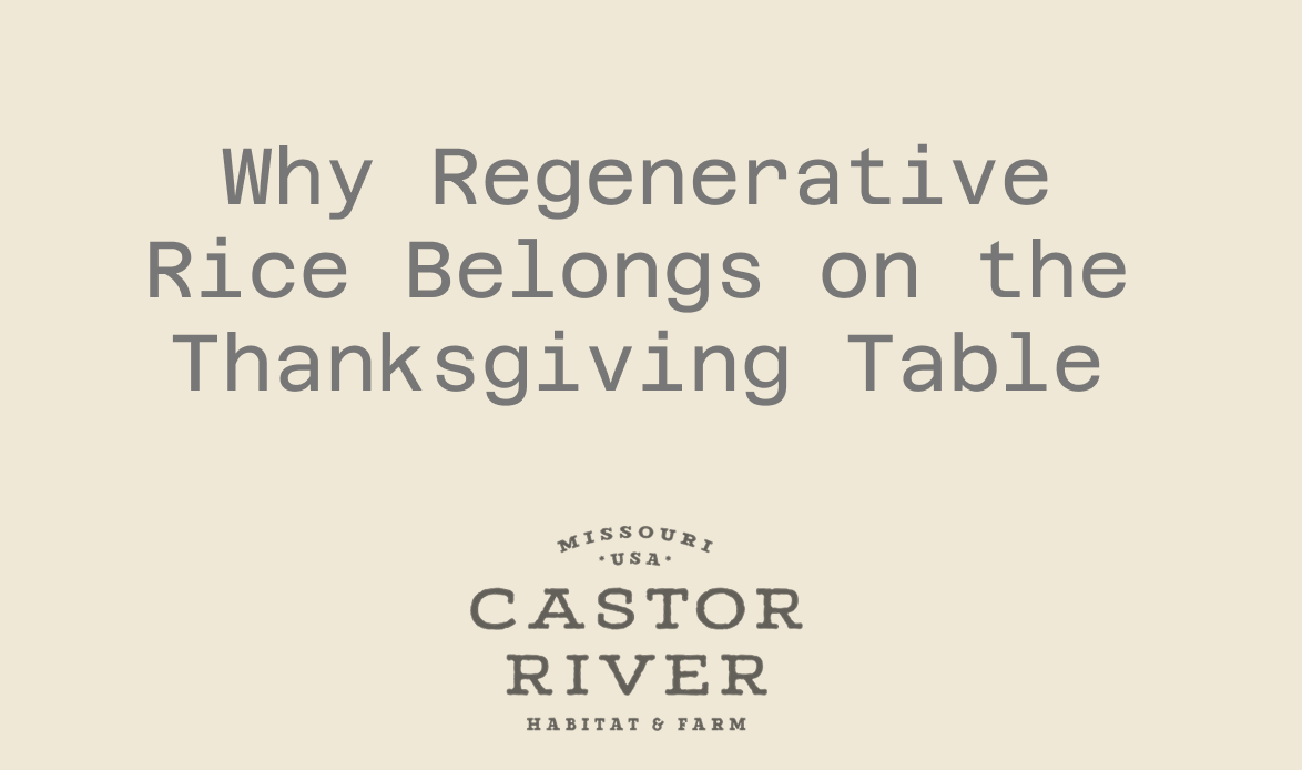 Why Regenerative Rice Belongs on the Thanksgiving Table