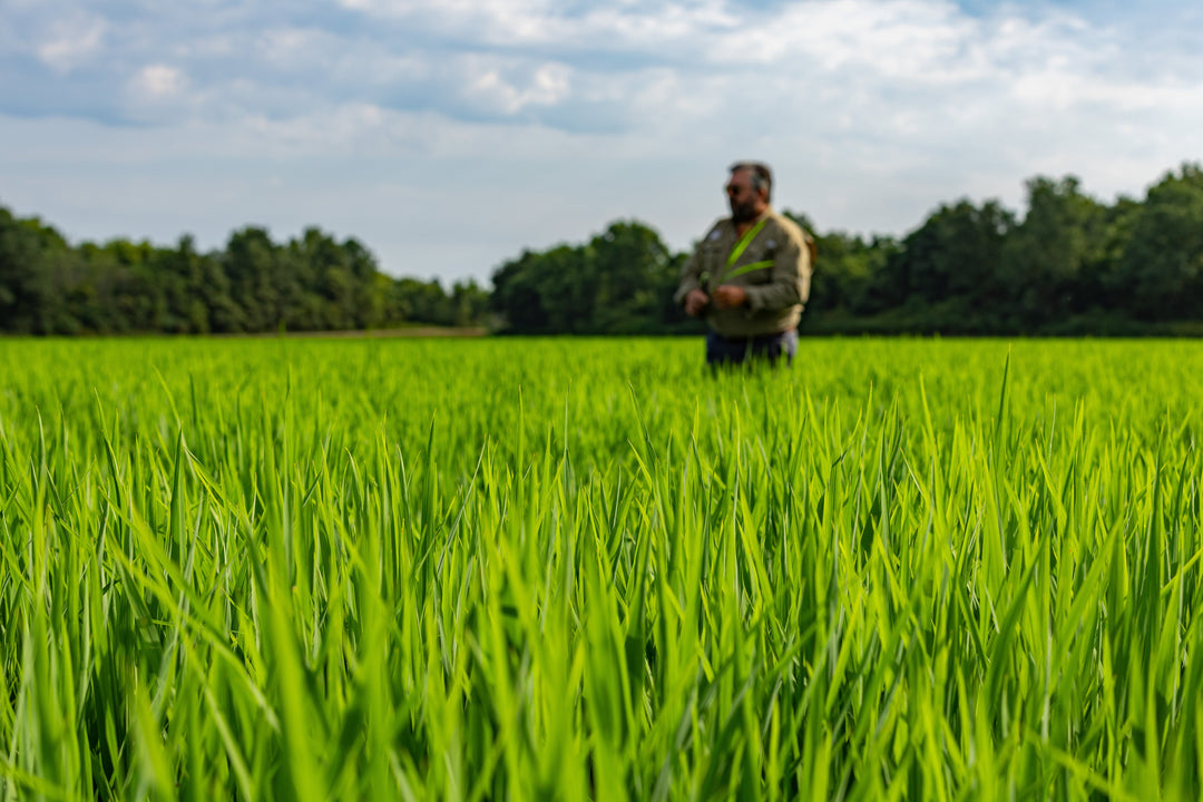How Regenerative Certifications Separate Talk from Action